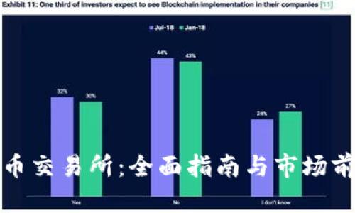 数字货币交易所：全面指南与市场前景分析