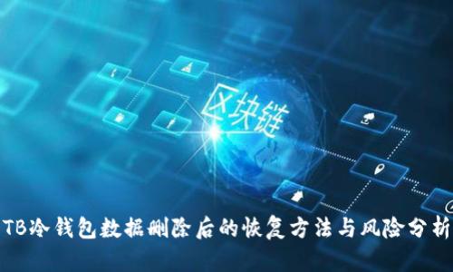 TB冷钱包数据删除后的恢复方法与风险分析