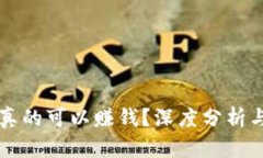 tpWallet真的可以赚钱？深度