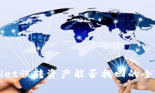tpWallet误转资产能否找回的全面指南