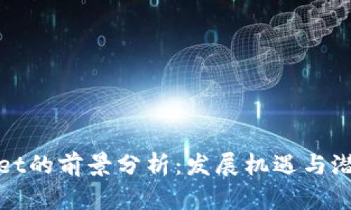 tpWallet的前景分析：发展机遇与潜在挑战