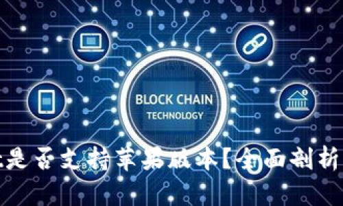 : tpWallet是否支持苹果版本？全面剖析与用户体验