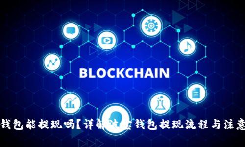 波宝钱包能提现吗？详解波宝钱包提现流程与注意事项