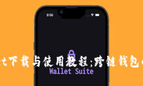 详解tpWallet下载与使用教程：跨链钱包的选择与设置