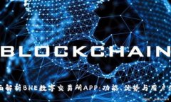 全面解析BHE数字交易所A