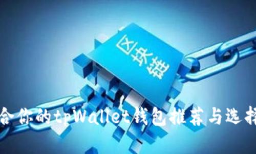 最适合你的tpWallet钱包推荐与选择指南