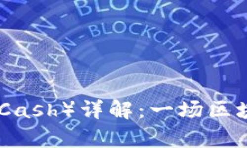 比特币现金（Bitcoin Cash）详解：一场区块链革命的前景与挑战