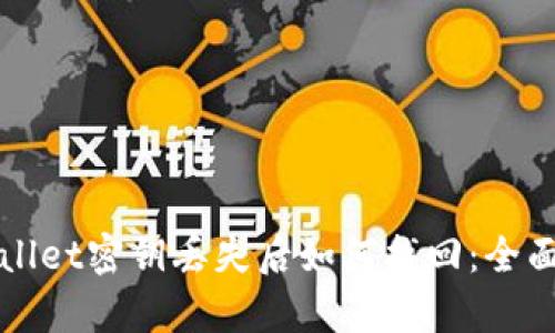 tpWallet密钥丢失后如何找回：全面指南