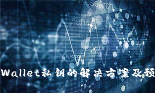丢失tpWallet私钥的解决方案及预防措施