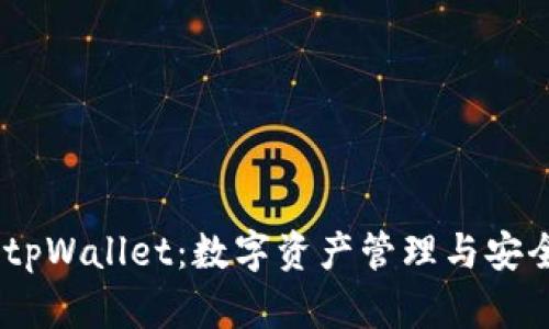 bolaotitpWallet：数字资产管理与安全性分析