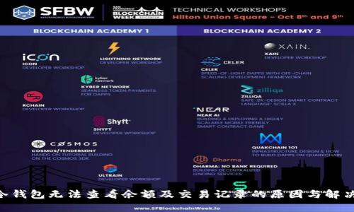 BTC冷钱包无法查看余额及交易记录的原因与解决方案