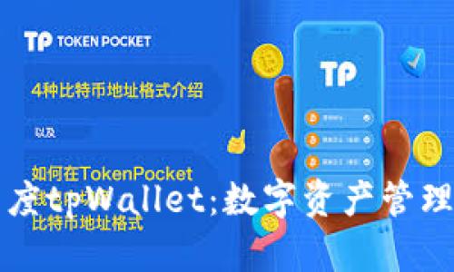深入了解百度tpWallet：数字资产管理平台的未来
