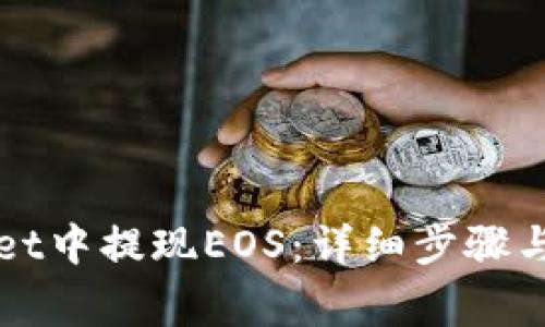 如何在tpWallet中提现EOS：详细步骤与常见问题解答
