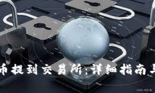 如何将数字货币提到交易所：详细指南与常见问题解析