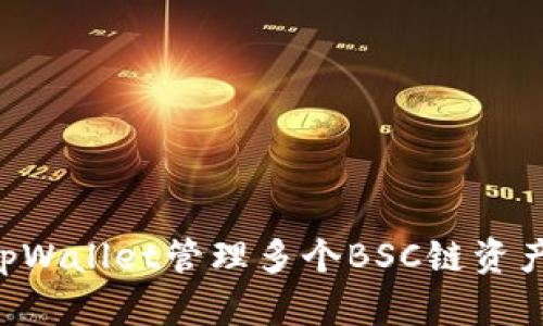 如何使用tpWallet管理多个BSC链资产：全面指南