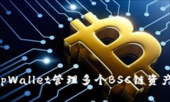 如何使用tpWallet管理多个BSC链资产：全面指南