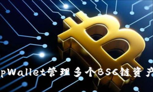 如何使用tpWallet管理多个BSC链资产：全面指南