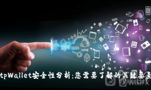 tpWallet安全性分析：您需要了解的关键要素