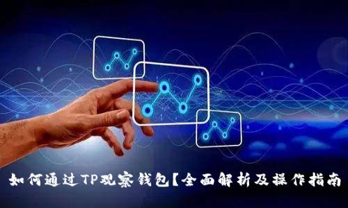 如何通过TP观察钱包？全面解析及操作指南