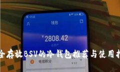 安全存放BSV的冷钱包推荐与使用指南