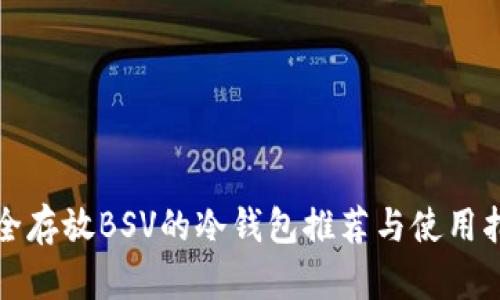 安全存放BSV的冷钱包推荐与使用指南