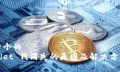 思考一个的  tpWallet 钱消失的原因及解决方案解析