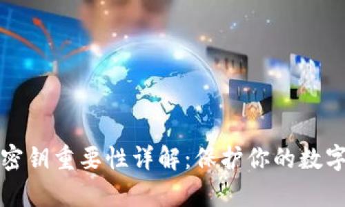tpWallet密钥重要性详解：保护你的数字资产安全
