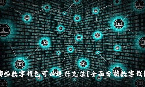 如今哪些数字钱包可以进行充值？全面分析数字钱包选择