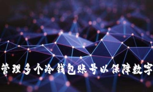 如何有效管理多个冷钱包账号以保障数字资产安全