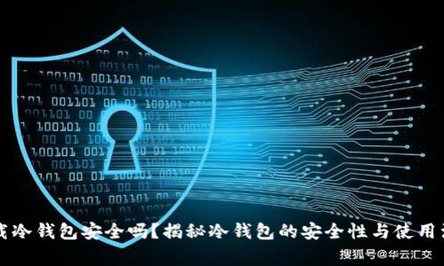 百度下载冷钱包安全吗？揭秘冷钱包的安全性与使用注意事项