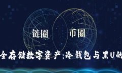 : 如何安全存储数字资产：冷钱包与黑U的风险分