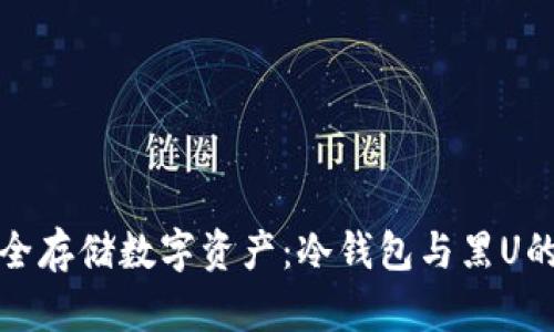 : 如何安全存储数字资产：冷钱包与黑U的风险分析