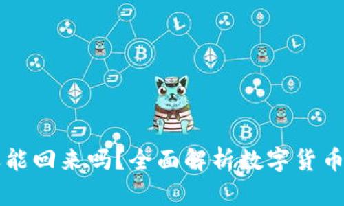tpWallet转错地址还能回来吗？全面解析数字货币转账错误的解决方案