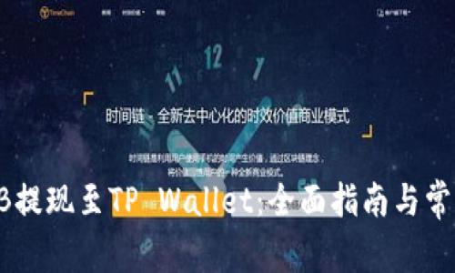 如何将SHIB提现至TP Wallet：全面指南与常见问题解答
