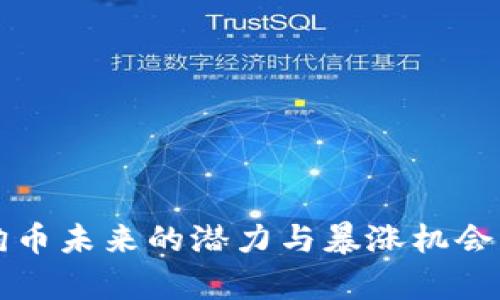 狗狗币未来的潜力与暴涨机会分析