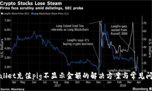 : tpWallet充值pig不显示金额的解决方案与常见问题解析