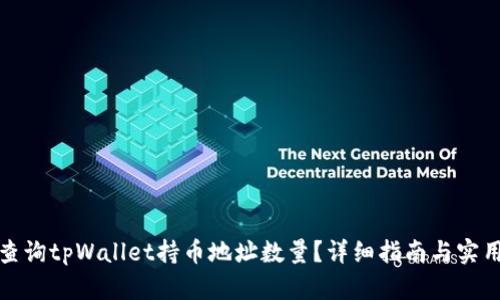如何查询tpWallet持币地址数量？详细指南与实用技巧