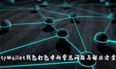 tpWallet钱包打包中的常见问题与解决方案
