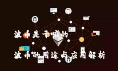 波币是干嘛的波币的用途与应用解析