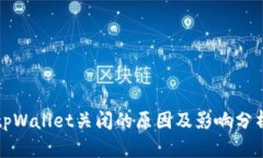 tpWallet关闭的原因及影响分析