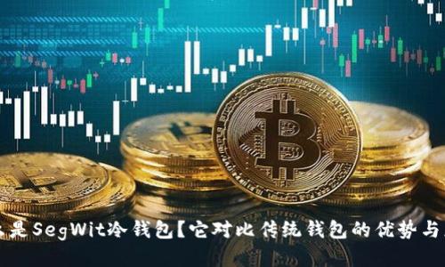什么是SegWit冷钱包？它对比传统钱包的优势与应用