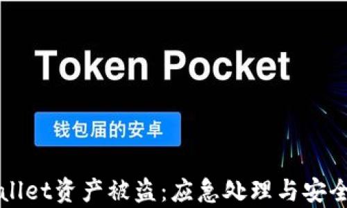 
tpWallet资产被盗：应急处理与安全指南