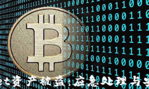 
tpWallet资产被盗：应急处理与安全指南