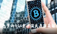 : TP钱包里的BSC资产消失原
