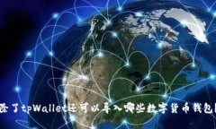 除了tpWallet还可以导入哪些