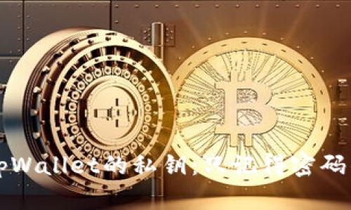 如何找回tpWallet的私钥：只记得密码的全面指南