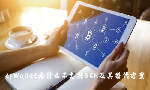 tpWallet为什么不支持BCH及其替代方案
