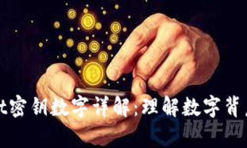 tpWallet密钥数字详解：理解数字背后的意义
