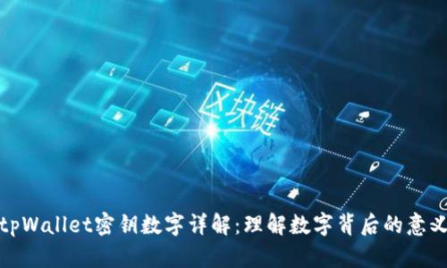 tpWallet密钥数字详解：理解数字背后的意义