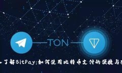深入了解BitPay：如何使用